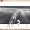 OWuensch Shootingboard 0 0aOffDuty001