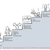OWuensch GraphicRecording 11