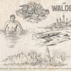 OWuenschIllustrator Illu 0003