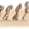 OWuenschIllustrator lay 10